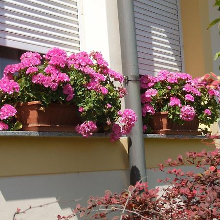Apartment Revesz Harkány Εξωτερικό φωτογραφία