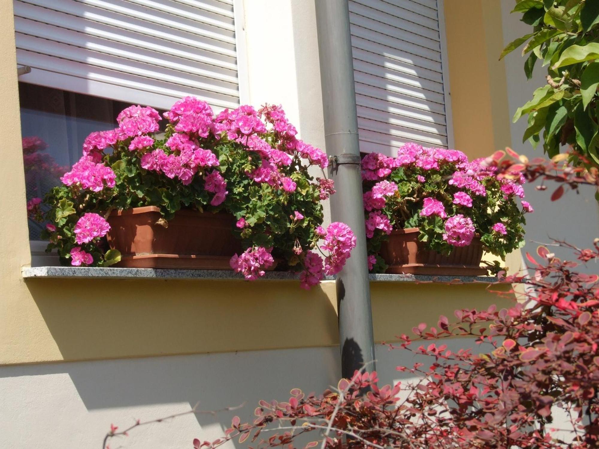 Apartment Revesz Harkány Εξωτερικό φωτογραφία